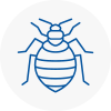 Bed Bug Extermination In Wigan