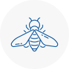 Bee Nest Removal Wigan