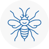 Wigan Hornet Nest Removals