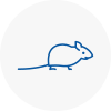 Mice Exterminators In Wigan