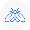Moth Control Specialists In Wigan