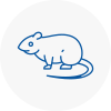 Rat Control Wigan