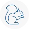 Wigan Rodent Removals
